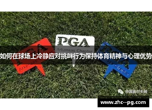如何在球场上冷静应对挑衅行为保持体育精神与心理优势