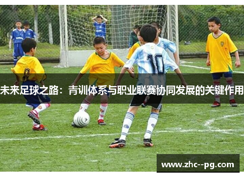 未来足球之路：青训体系与职业联赛协同发展的关键作用